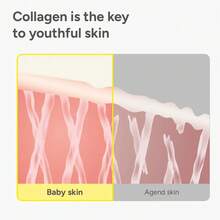 SUNGBOON EDITOR Deep Collagen Serum | 5% Volufiline + 58% Low Molecular Collagen + 2% Niacinamide | Hydrating & Smoothing Face Serum | Korean Skincare, Gifts For Women - Nhiều màu - Xem 4