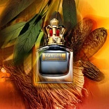 Jean Paul Gaultier Nước hoa Scandal Pour Homme Eau De Toilette Spray For Men EDT Perfume 3.4oz/100ml Lưu hương lâu Hiện đại Táo bạo Cá tính Nghệ thuật Tinh tế Nổi loạn Bạn trai Chồng Cha Anh trai Sinh nhật Tiệc tốt nghiệp Du lịch Cắm trại Ngoài trời Trường học Chuyến đi khuôn viên trường Lễ hội Kỷ niệm Mùa hè Mùa thu Mùa thu Halloween Lựa chọn mùa hè Những thứ không thể thiếu trong mùa hè Phong cách Gothic cổ điển mùa hè - Giờ ban ngày - Xem 3