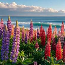 Flower Seeds - View 4