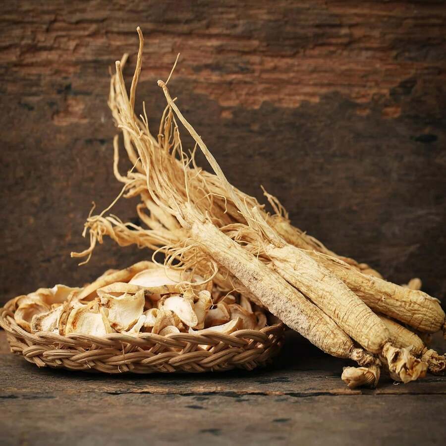 30 Graines de Panax Perennes pour la Plantation - Voir 1