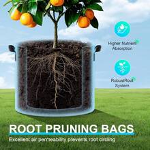 Land Guard 4-Pack Fabric Grow Bags 5 Gallon, Thickened Nonwoven Garden Pots, Growing Bags With Handles, Black - 顏色A - 查看 6