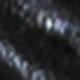 màu đen