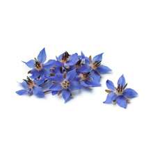 Flower Seeds - View 5