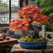 Flower Seeds - View 6