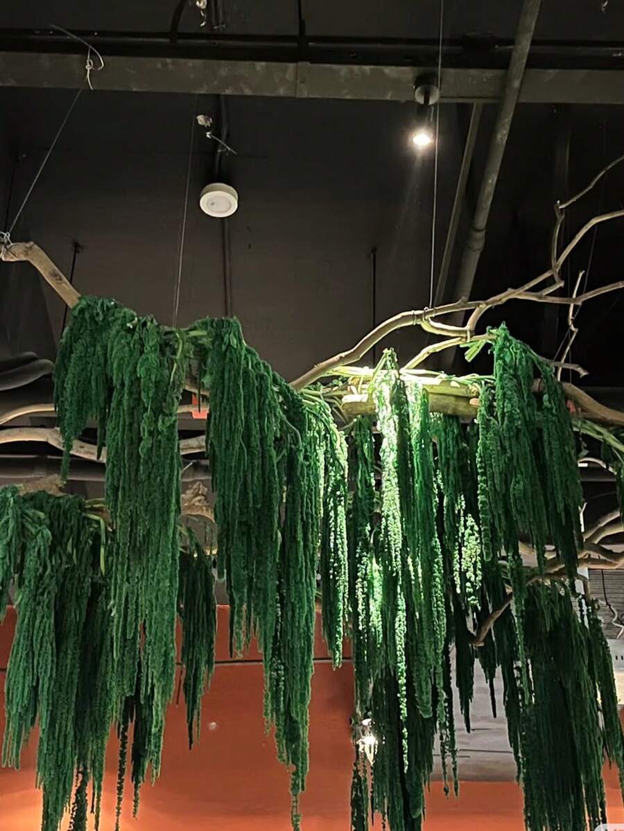 1/2/3/4/5件人造紫藤垂吊花,水滴形串掛植物,婚禮絲綢人造莧花,酒紅色婚禮花,瀑布婚禮花束,適用於婚禮背景裝飾、酒店裝飾、DIY花藝材料、花瓶填充、牆面裝飾、母親節、生日、派對、禮物等 - 墨綠色 - 查看 1