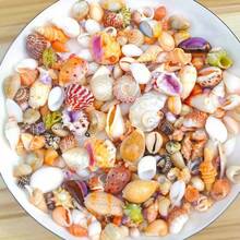 50克贝壳，精美的水族箱装饰品，可用于美化您的家庭鱼缸。它们既实用又美观。 - A - 查看 8