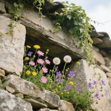 147 graines de fleurs – mélange de graines de fleurs sauvages pour aménagement paysager, plantation en serre, tiges droites, utilisation de l'espace vertical pour l'aménagement paysager - Voir 2