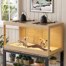 AYYDS Terrariums - Brown - View 1