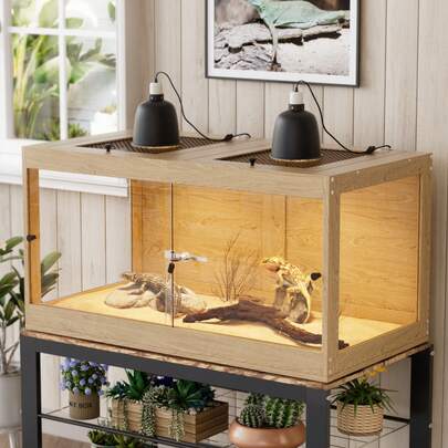 AYYDS Terrariums