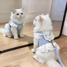 Cute Blue Floral Lace Pet Harness And Leash Set - Princess Dress Style Soft Vest Harness For Small Cats Dogs, Non-Pulling Escape Proof Chest Strap For Small Cats Dogs Daily Walking - Blue - View 2