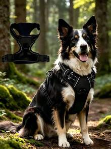 2pcs Reflective Dog Harness And 1.5m Leash Set, Breathable Pet Harness, Suitable For Small, Medium, Large Dogs And Cats, Puppy Harness, Dog Walking Leash And Harness Accessories - Black - View 10