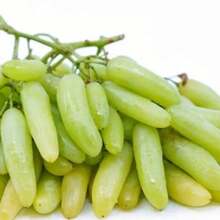 57 graines de raisin 'Finger Grape' de variété traditionnelle - fruit sucré - Voir 3