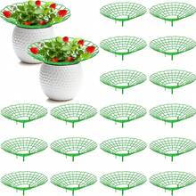 Bộ 6/10 giá đỡ cây dâu tây, giá đỡ cây dâu tây có 3 chân chắc chắn, giá trồng dâu tây, khung giữ cây dâu tây, giúp giữ cho cây dâu tây sạch sẽ. - giàn dâu tây - Xem 1