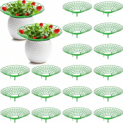 Bộ 6/10 giá đỡ cây dâu tây, giá đỡ cây dâu tây có 3 chân chắc chắn, giá trồng dâu tây, khung giữ cây dâu tây, giúp giữ cho cây dâu tây sạch sẽ.