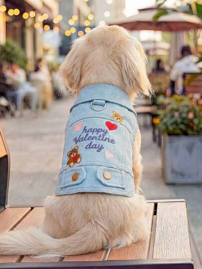 PETCIRCLE 1件宠物服装，室内外皆宜，欧美韩风，适合贵宾犬、泰迪犬、小型犬、幼犬、猫咪，休闲舒适，可爱小熊图案，情人节外套