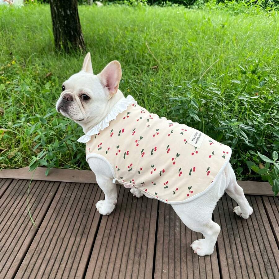 Áo vest cho chó Bulldog Pháp, chất liệu nhẹ, in hình quả anh đào, rất đáng yêu cho chó, thích hợp cho mùa xuân/hè. - Màu be - Xem 1