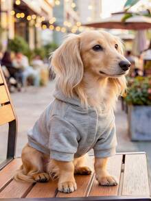 PETCIRCLE 1件宠物服装，室内外皆宜，欧美韩风，适合贵宾犬、泰迪犬、小型犬和幼犬，休闲舒适“我爱妈妈”卫衣 - 灰色 - 查看 2