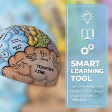 腦科學教育帽，3D立體顯示學習大腦功能，互動式趣味腦科學知識 - 腦科學教育帽 - 查看 4
