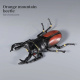 Insecto-4