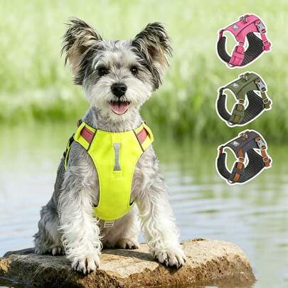 Dây dắt chó Kurgoo Smart Truffit - Vừa vặn thoải mái - Dây dắt có thể điều chỉnh - Phụ kiện phản quang cho thú cưng - Khóa tháo nhanh - Phụ kiện dắt chó đi dạo hàng ngày - Bao gồm vòng móc dây an toàn - Màu đen - Cỡ nhỏ