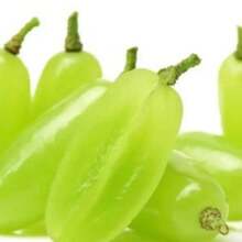 57 graines de raisin 'Finger Grape' de variété traditionnelle - fruit sucré - Voir 4