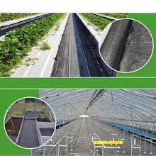 Shade Cloth - สีดำ ขนาด 2*10 เมตร - ดู 7