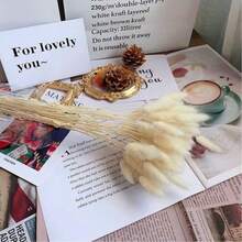 30~240pcs 17-Inch Multicolor Artificial Rabbit Tail Grass, Home Decor Artificial Rabbit Tail Grass Stems, Suitable For Bohemian Style Floral Arrangements, DIY Crafts, Home Kitchen And Wedding Decor, Christmas Decor - White - View 8
