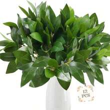 1/2/3/4pcs Artificial Eucalyptus Leaves, Simulated Eucalyptus Branches, Suitable For DIY Floral Wall, Scene Arrangement, Living Room/Bedroom Vase Placement, Wedding Party Decoration, Desktop Decor. Autumn/Winter Fallen Leaves Can Be Used For Indoor Decoration, Home Decor, Kitchen Decor, Wedding Decor, Dining Table Decor, Center Piece, Office Decor, Garden Decor, Outdoor Decor, Father's Day/Mother's Day Gift - Green - View 1