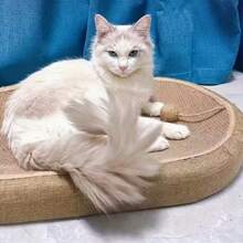 1个椭圆形剑麻猫抓床，二合一猫抓板兼猫窝。耐用耐磨的大尺寸猫抓碗，完美呵护猫爪。多功能猫家具，适合室内猫咪，四季皆宜的舒适休憩窝。也可作为互动猫玩具，是幼猫和成猫的理想必备宠物用品。 - 37*57*7 - 查看 6