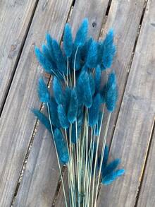 Bleu Paon
