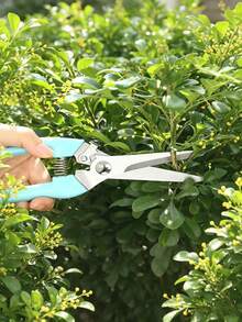 Tijeras de poda de jardín, juego de corte de flores, tijeras de poda para flores, herramientas de jardinería para recortar arbustos, rosas y árboles frutales, adecuadas para floristas, patios y huertos - A - Ver 8