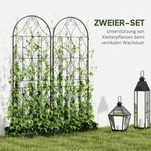 Set Of 2 Rustproof Metal Trellises, Plug-In Type, Support For Climbing Plants, 50 X 150 Cm, Garden Trellis For Indoor Plants, Trellis For Tomatoes, Vegetables, Flowers, Climbing Plants, Black - A - View 2