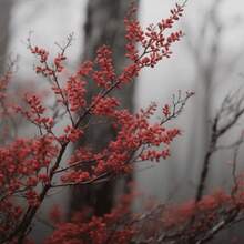 Flower Seeds - View 3