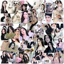 60張「Biggest Fan」貼紙組，適用於 Irene 首張工作室專輯，K-POP 偶像收藏家 Reveluv 粉絲專用乙烯基貼紙，自黏式裝飾貼紙，可用於日記本、計畫本、相簿、筆電、手機 - 彩色 - 查看 2