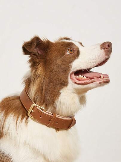 Collar Pet Supplies Suitable For Small, Medium, And Large Dogs Faux Leather