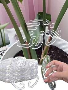 10/20入 有機玻璃葉形植物支撐夾，時尚透明植物支架，專為龜背竹及其他攀爬植物設計，有效固定並穩定植物莖部，保持葉片挺立，促進健康生長，極簡透明設計，適合室內外綠植與景觀布置，節日園藝裝飾必備 - 多款 - 查看 5