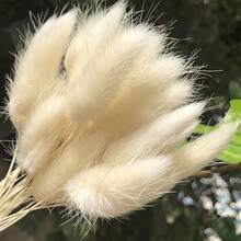 30~240pcs 17-Inch Multicolor Artificial Rabbit Tail Grass, Home Decor Artificial Rabbit Tail Grass Stems, Suitable For Bohemian Style Floral Arrangements, DIY Crafts, Home Kitchen And Wedding Decor, Christmas Decor - White - View 4