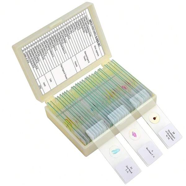 Children'S Microscope Slides, Glass Prep Slides For Microscope Accessories Suitable For All Types Of Microscopes