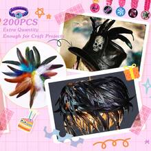 SOGUGOM Black Rooster Tail Feathers - 200 Pcs 5-7 Inch Craft Feathers Bulk For Craft Projects, Halloween, Hats And Cocktail Table Centerpieces(Black) - Màu A - Xem 3