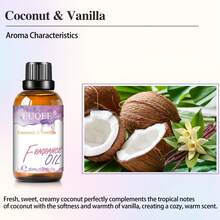 EUQEE 椰子香草香氛精油 1 瓶 30 毫升/1.01 液盎司，优质精油，适用于香薰机、加湿器、DIY 手工艺品、家居香薰护肤、室内喷雾、车载香氛，持久留香，理想礼品 - Coconut& Vanilla - 查看 7