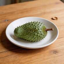 Plant Seeds - View 3