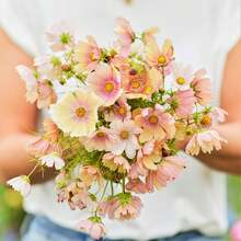 Flower Seeds - View 4