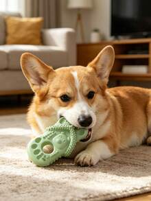 Đồ chơi gặm cho chó hình dép, chống cắn, bền và tiện dụng, chất liệu phù hợp cho chó nhỏ, vừa và lớn, đồ chơi gặm lý tưởng. - Nhiều màu - Xem 4