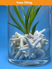 1/10/20/30個 1.18英吋逼真樹脂海星裝飾品，迷你海洋風海星小雕像，適用於DIY手工、婚禮、節日、居家、桌面景觀裝飾 - 多色 - 查看 4