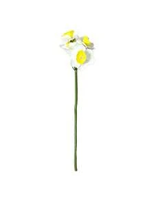 6支/套仿真水仙花束 - 逼真的黄色花心和白色花瓣。非常适合婚礼、客厅、花园、餐桌摆饰和户外节日装饰。也是感恩节、母亲节、情人节和毕业季的完美礼物之选（不含花瓶）。| 优雅花卉设计 | 栩栩如生的仿真花，家居装饰佳品 - 彩色 - 查看 10