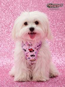 THE POWERPUFF GIRLS X PETSIN Dây nịt thú cưng họa tiết hoạt hình dùng hàng ngày - Màu tím hoa cà - Xem 3
