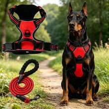 1 Set Dog Harness And Leash, Reflective Anti-Pull Pet Chest Strap With Quick Release Buckle, Comfortable Thick Handle, Durable For Walking And Training - Red - View 10