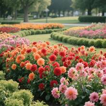 Flower Seeds - View 2