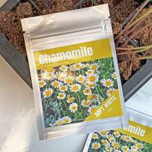 Plant Seeds - View 3
