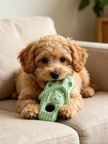 Đồ chơi gặm cho chó hình dép, chống cắn, bền và tiện dụng, chất liệu phù hợp cho chó nhỏ, vừa và lớn, đồ chơi gặm lý tưởng. - Nhiều màu - Xem 2